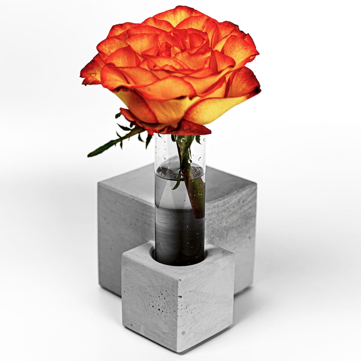 Beton Vase Core Frontalansicht mit Blume