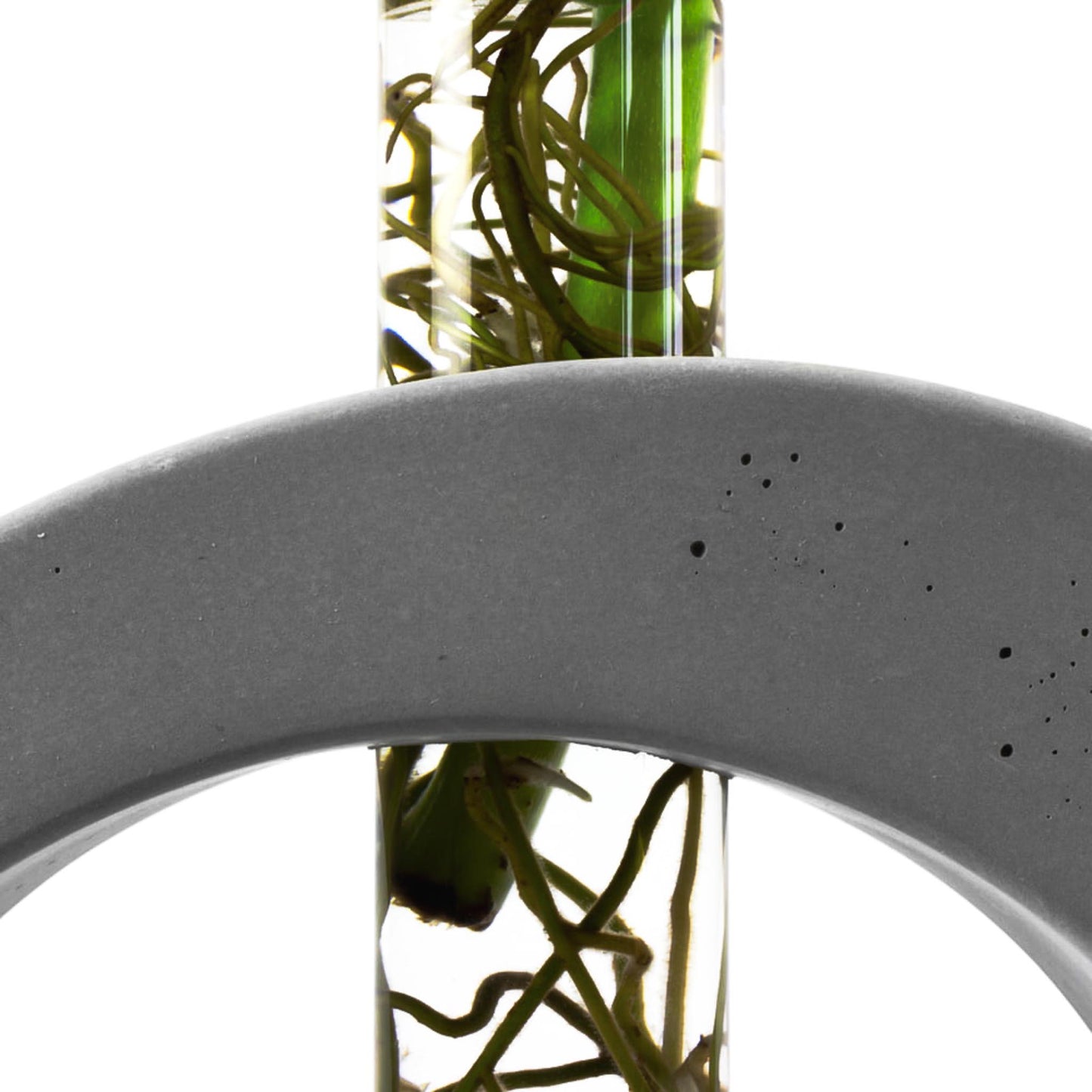 reagenzglas-vase-beton-oval-nahaufnahme-frontal