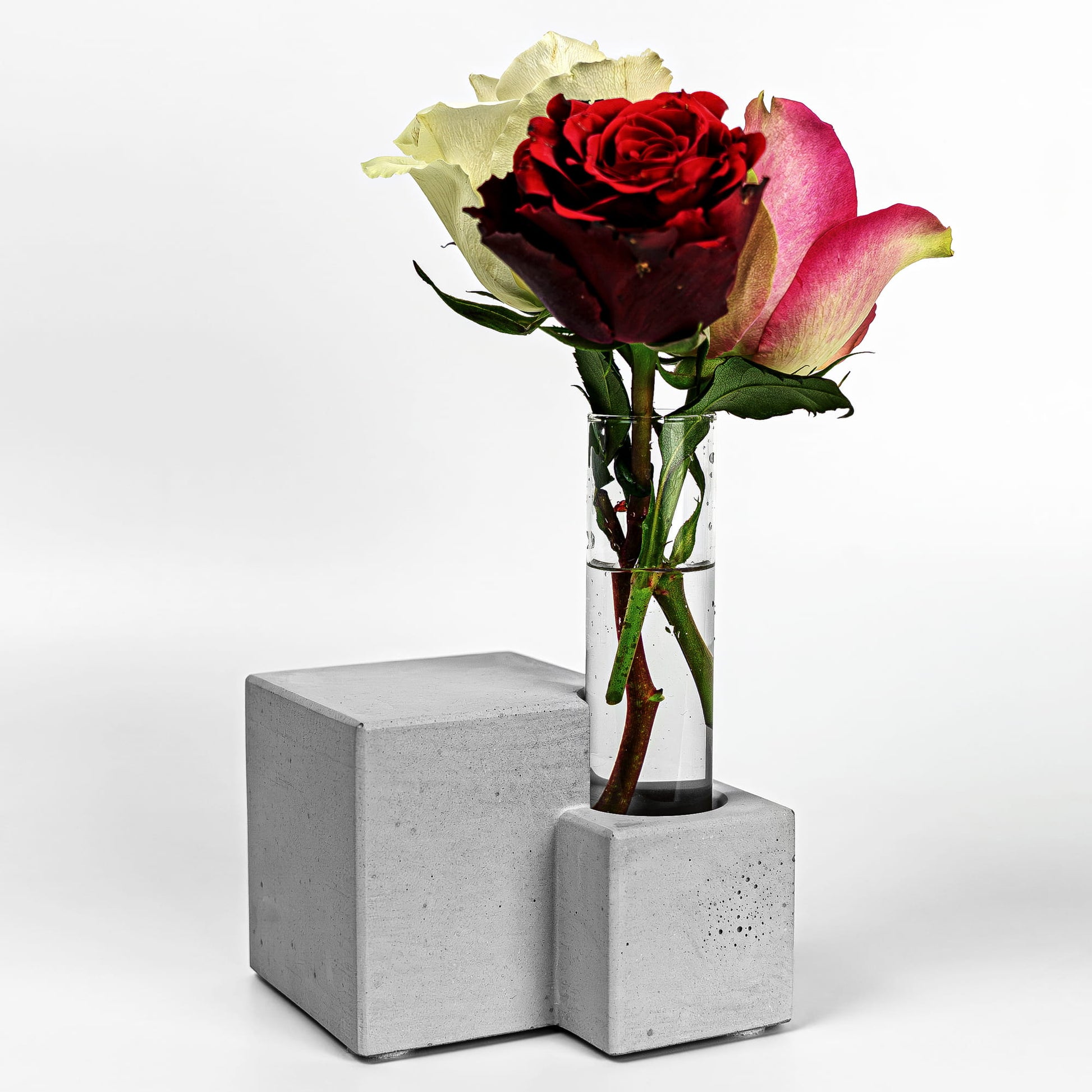 Beton Vase Core Diagonalansicht mit 3 Blumen