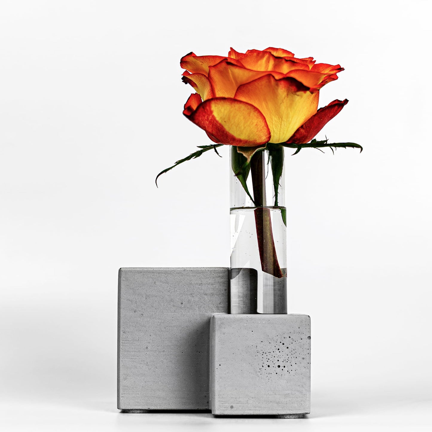 Beton Vase Core Seitenansicht mit Blume