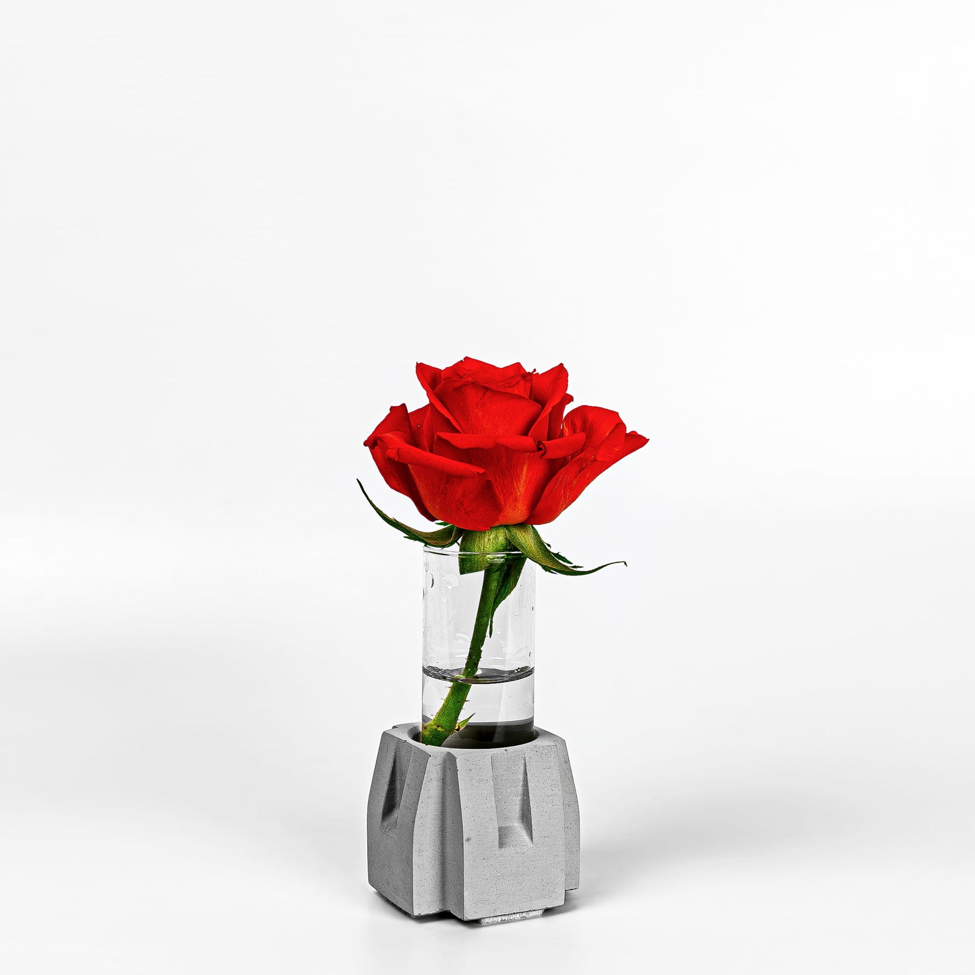 Beton Vase Pillar Diagonalansicht mit Blume