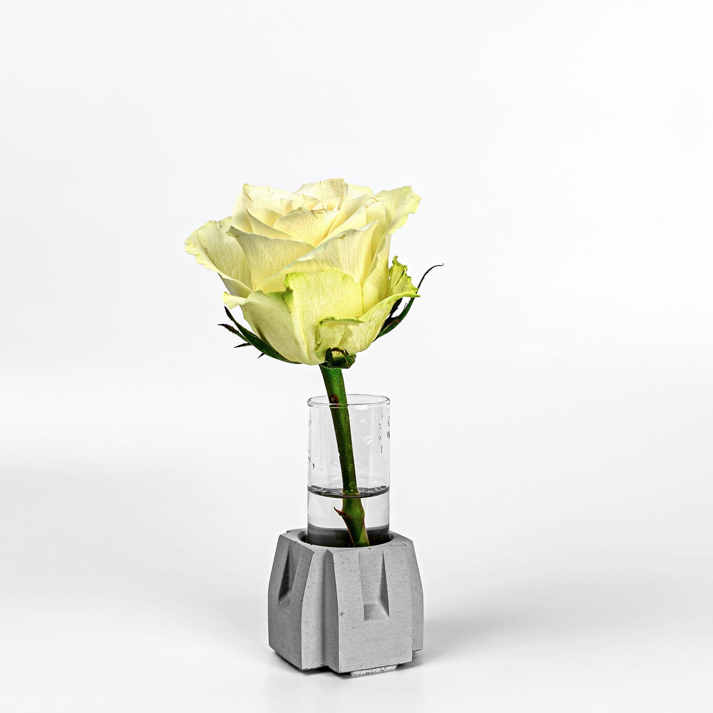 Beton Vase Pillar Diagonalansicht mit Blume