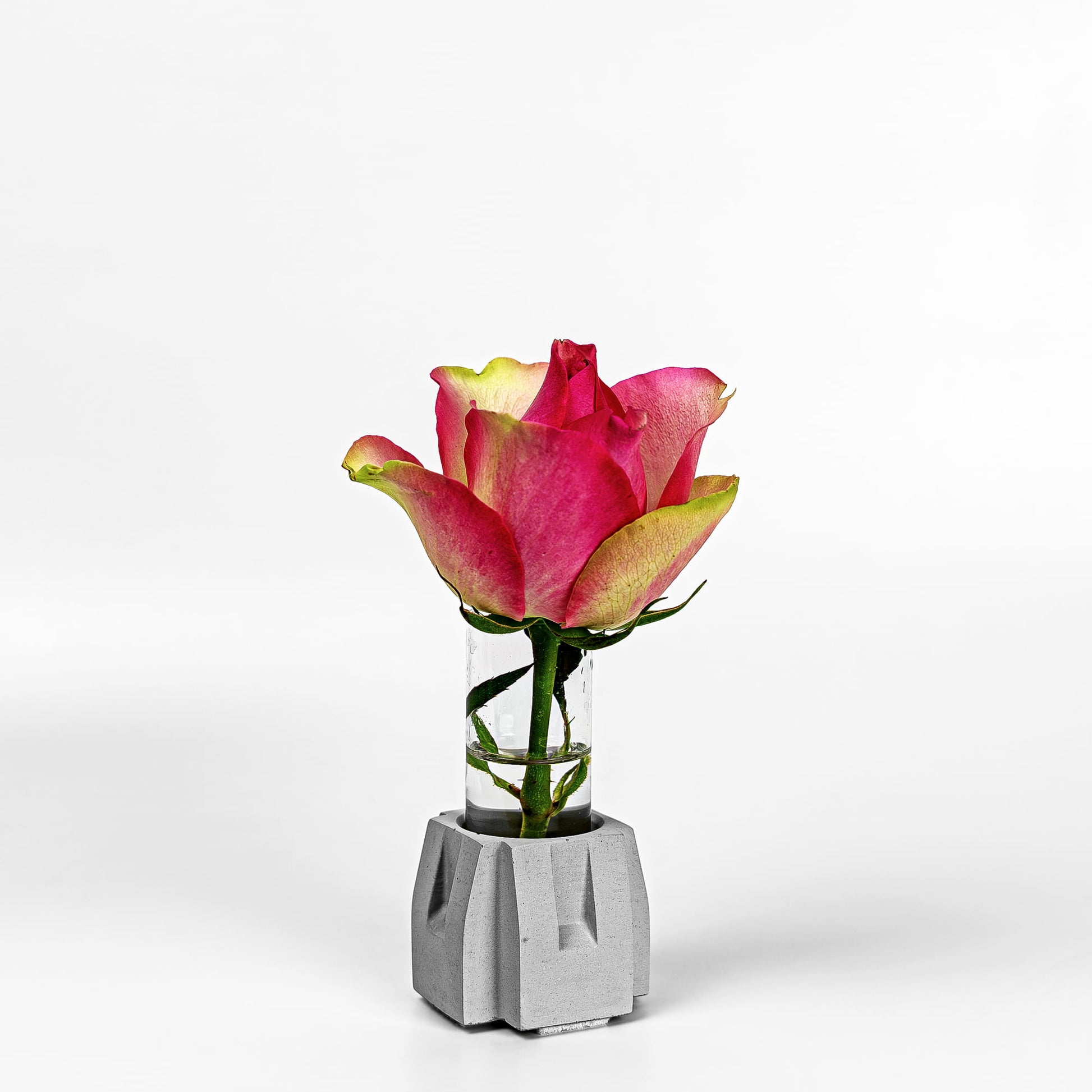 Beton Vase Pillar Diagonalansicht mit Blume