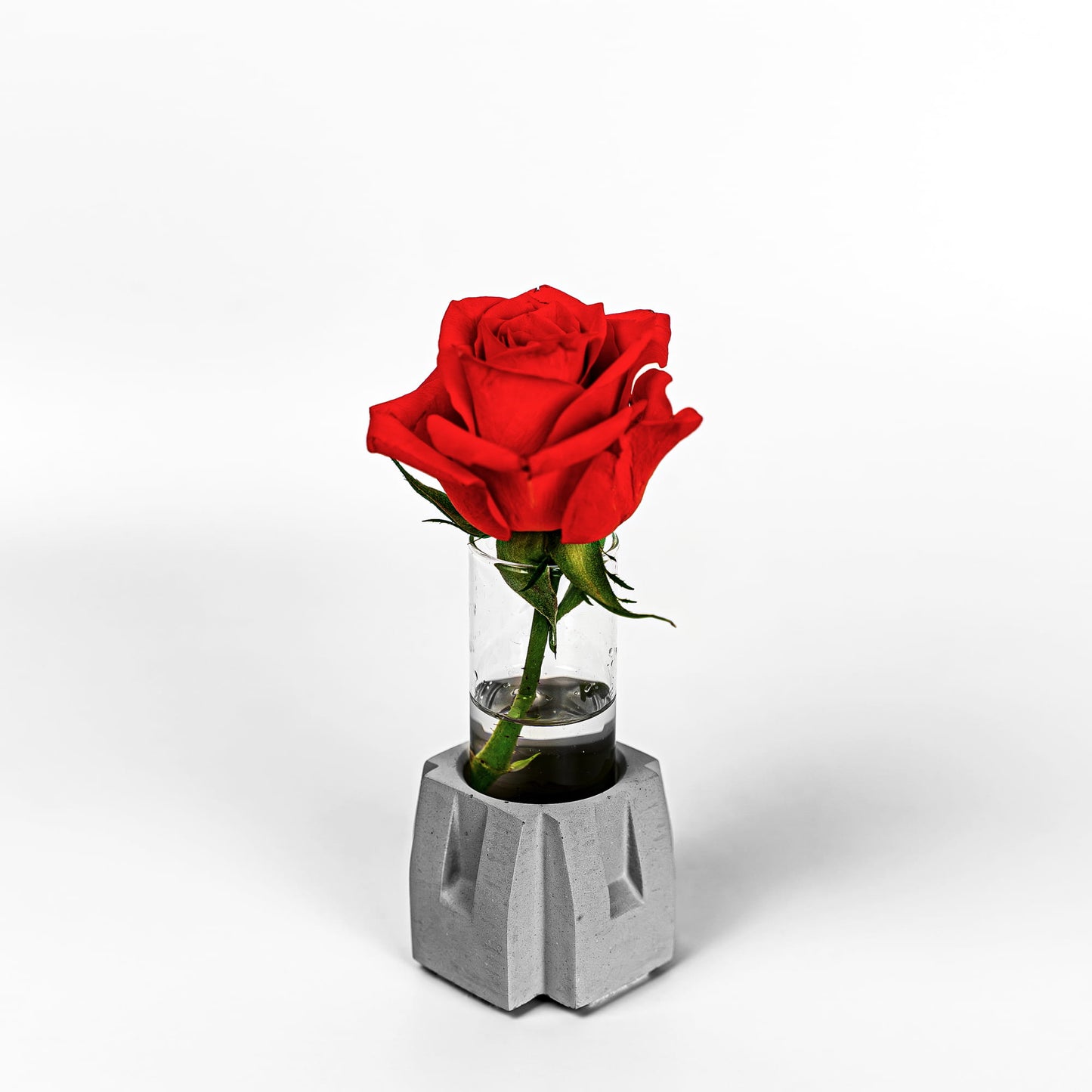 Beton Vase Pillar Frontalansicht mit Blume