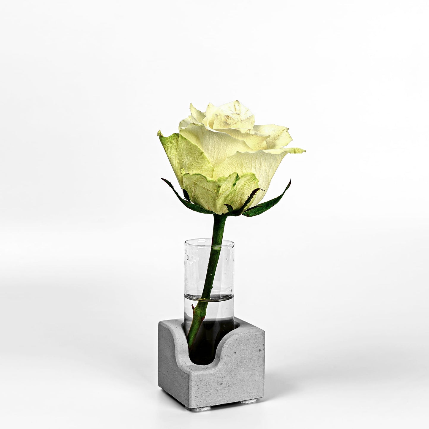 Beton Vase Pocket Diagonalansicht mit Blume