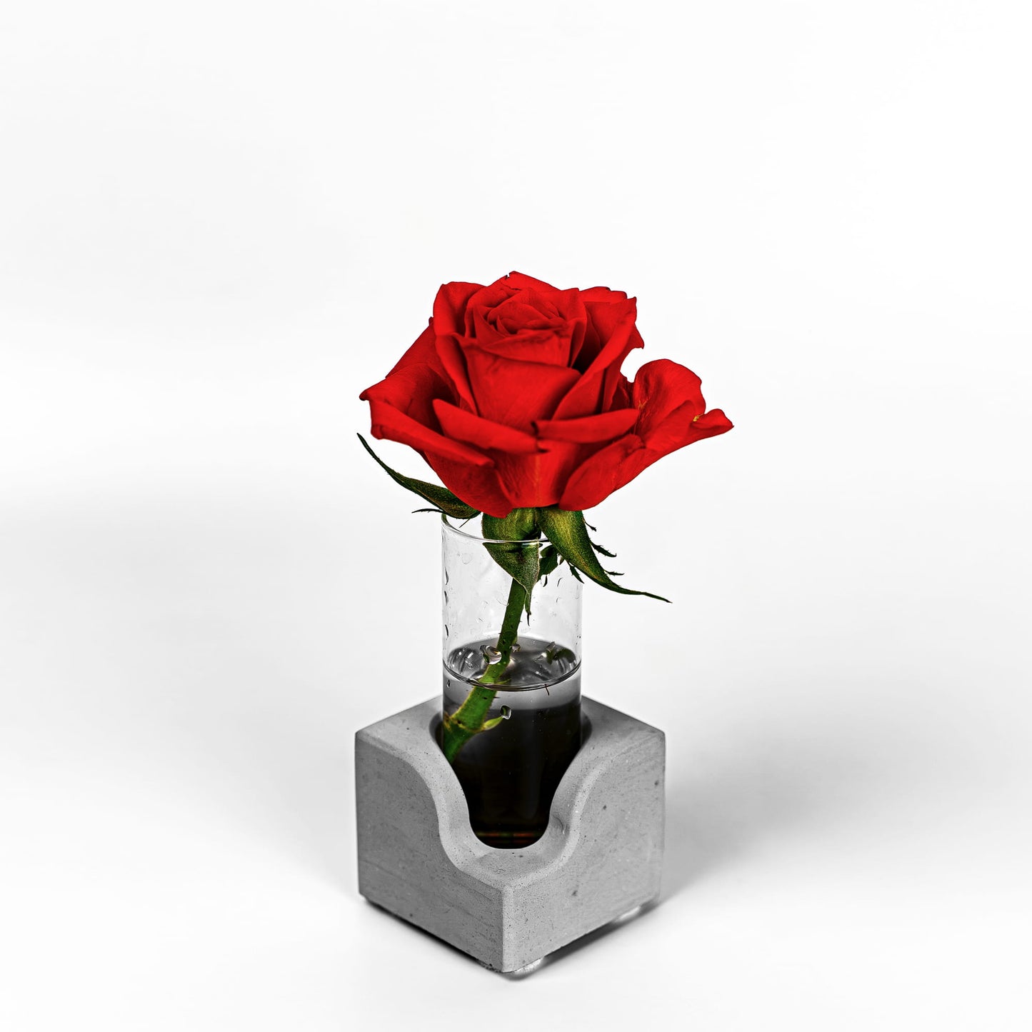Beton Vase Pocket Frontalansicht mit Blume