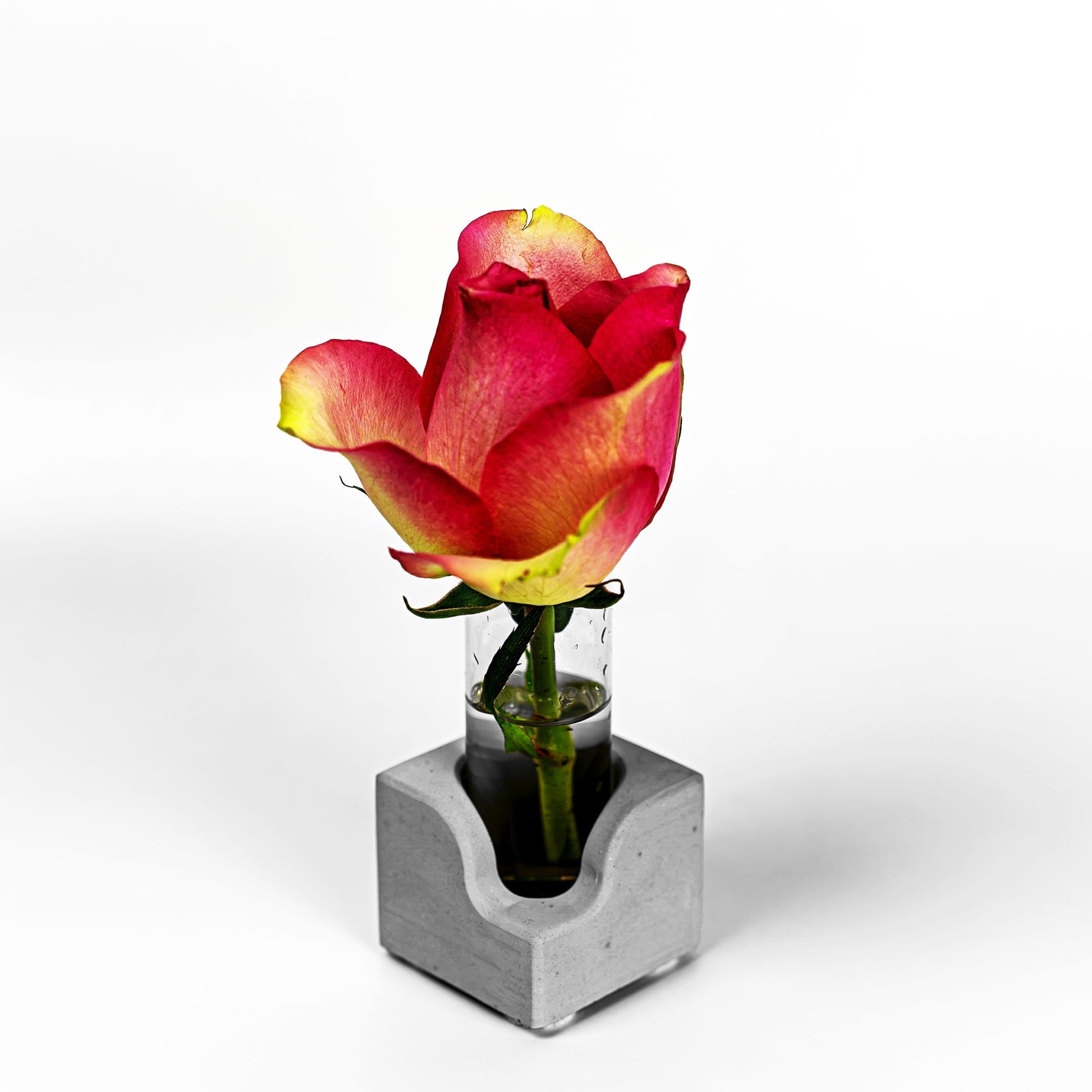 Beton Vase Pocket Frontalansicht mit Blume