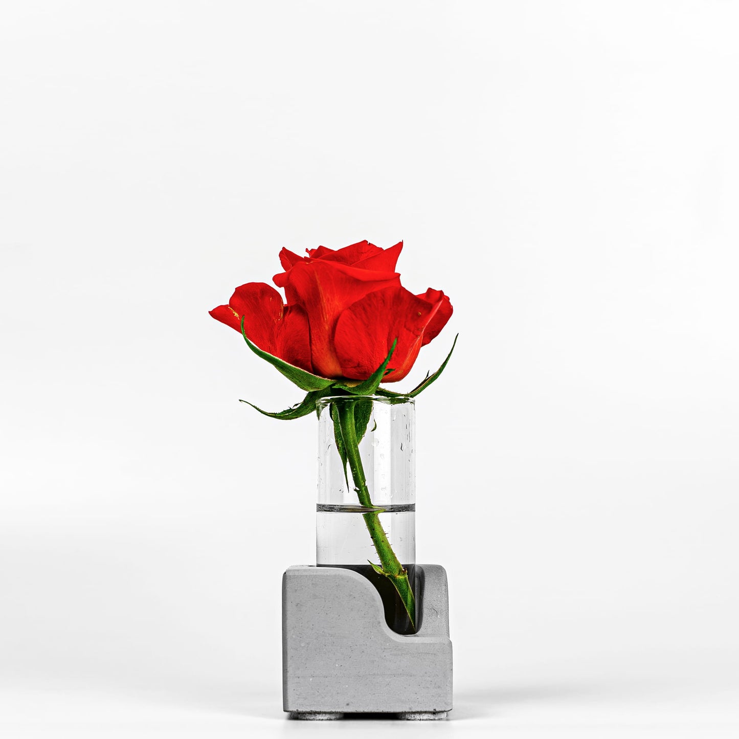 Beton Vase Pocket Seitenansicht mit Blume