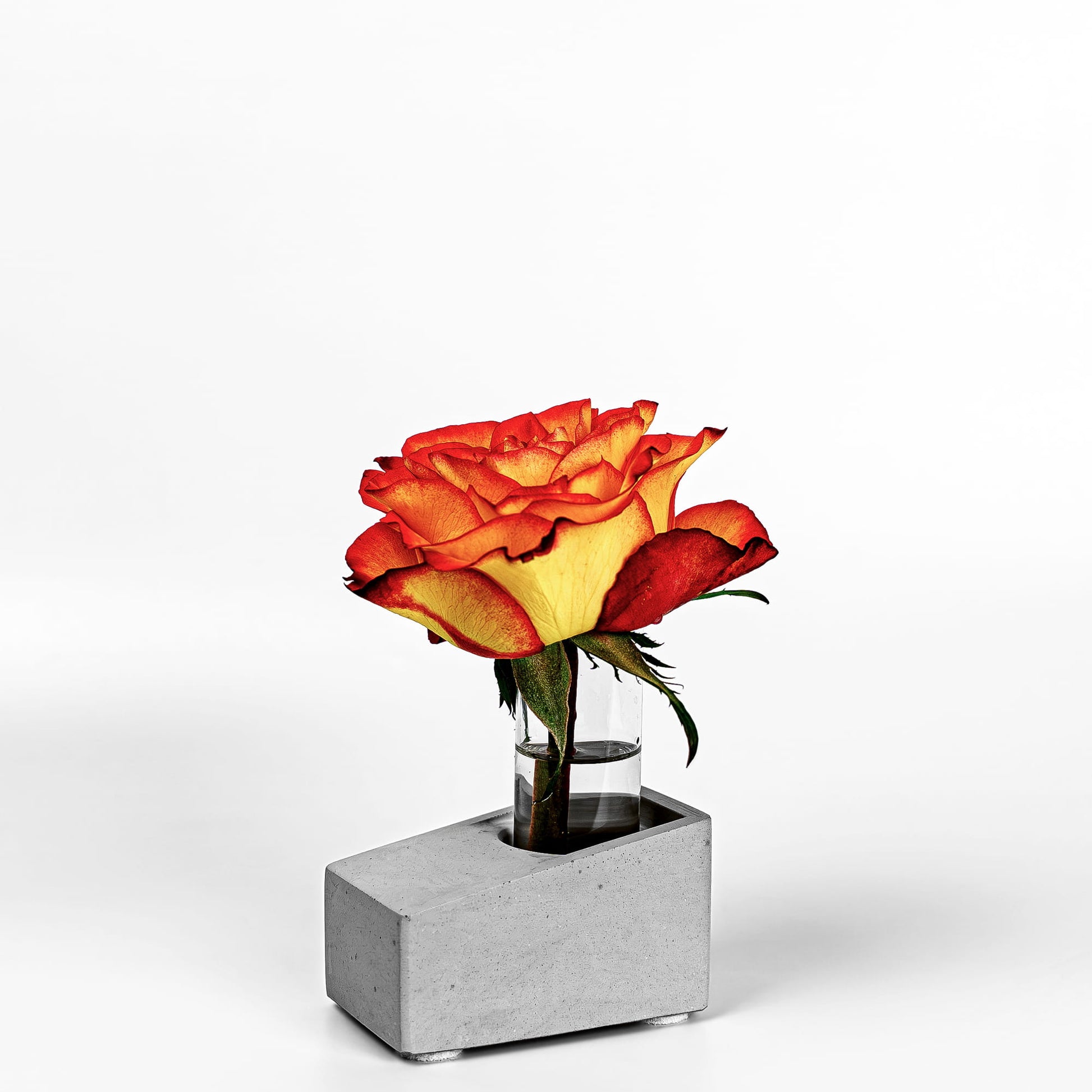 Beton Vase Slab Diagonalansicht mit Blume