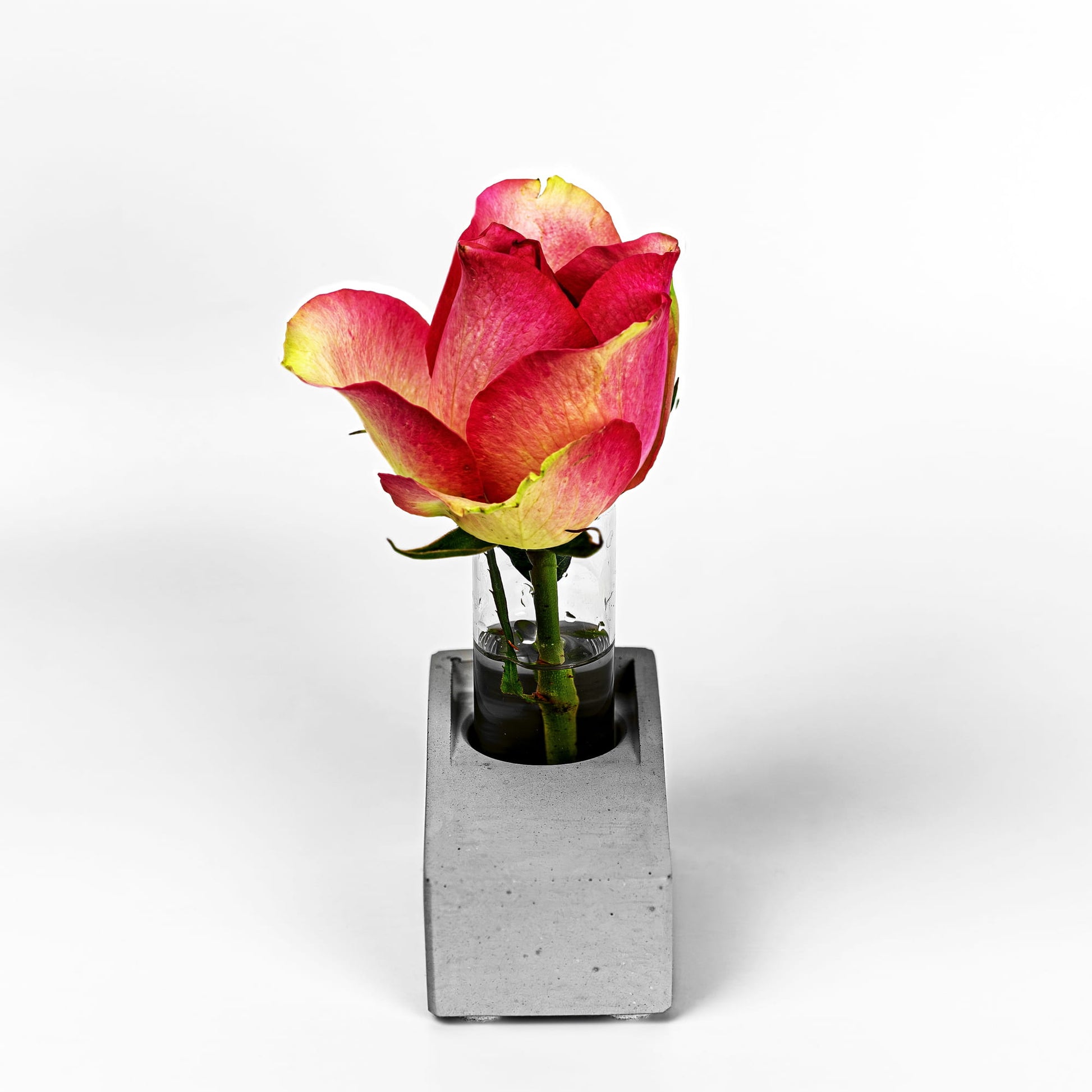 Beton Vase Slab Frontalansicht mit Blume
