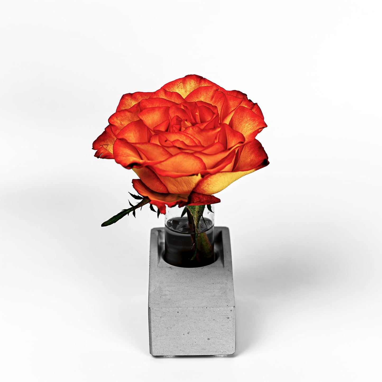 Beton Vase Slab Frontalansicht mit Blume