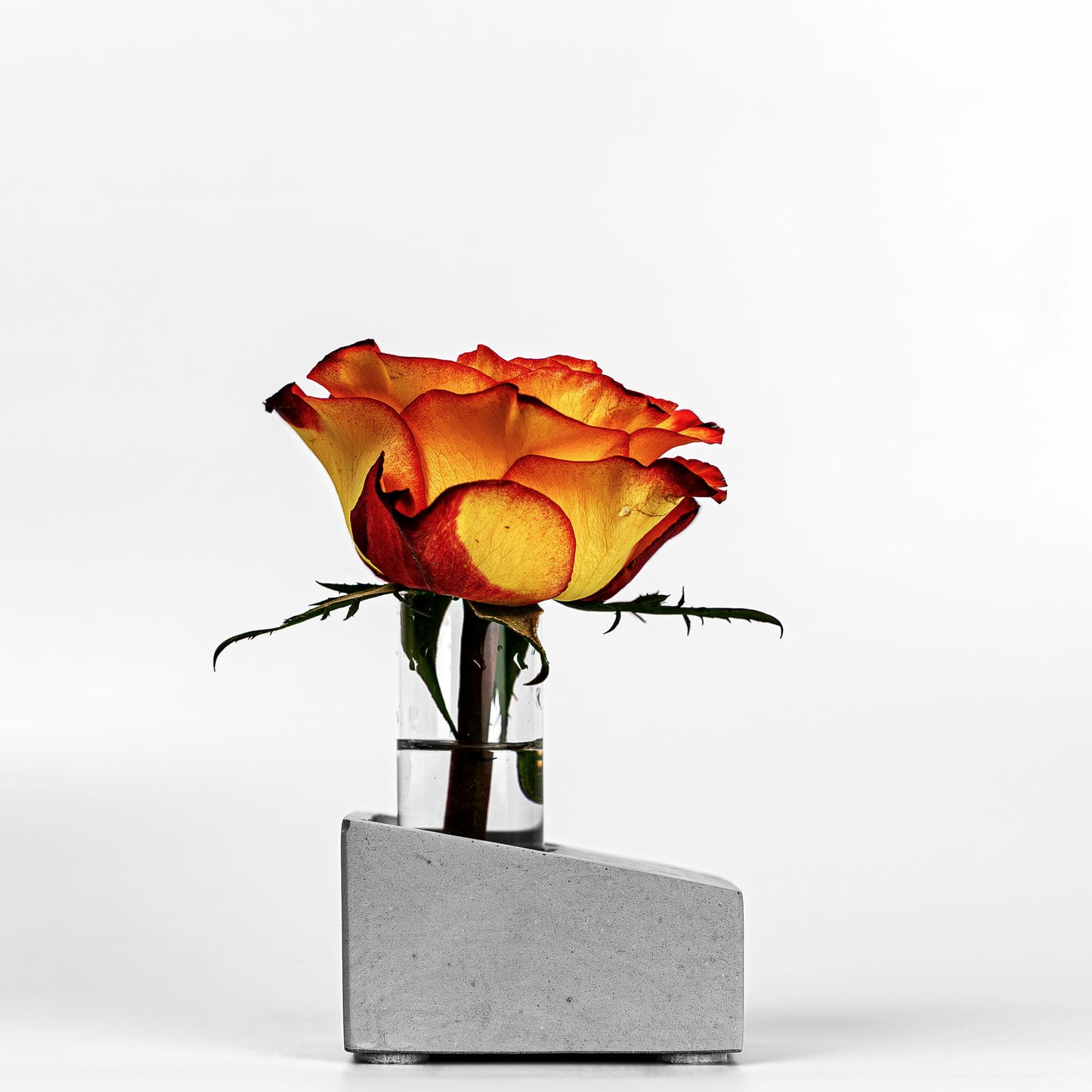 Beton Vase Slab Seitenansicht mit Blume