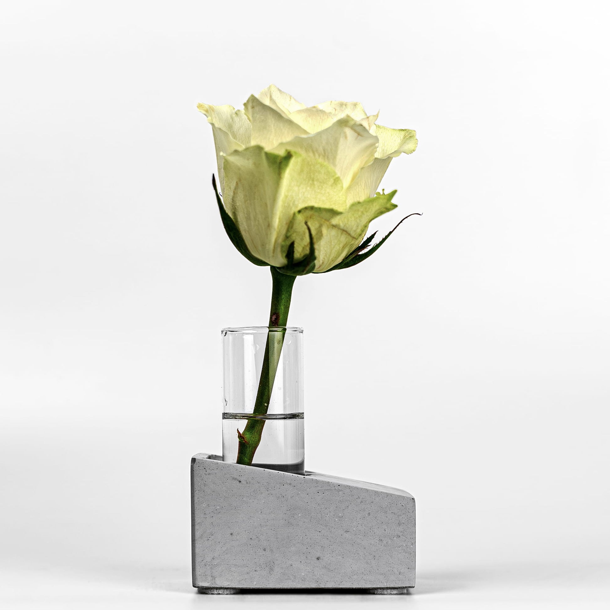 Beton Vase Slab Seitenansicht mit Blume