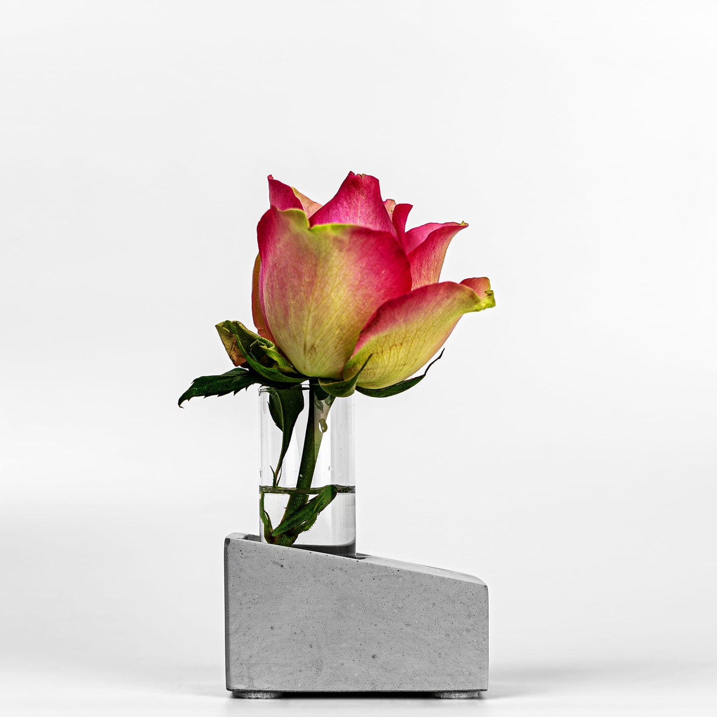 Beton Vase Slab Seitenansicht mit Blume