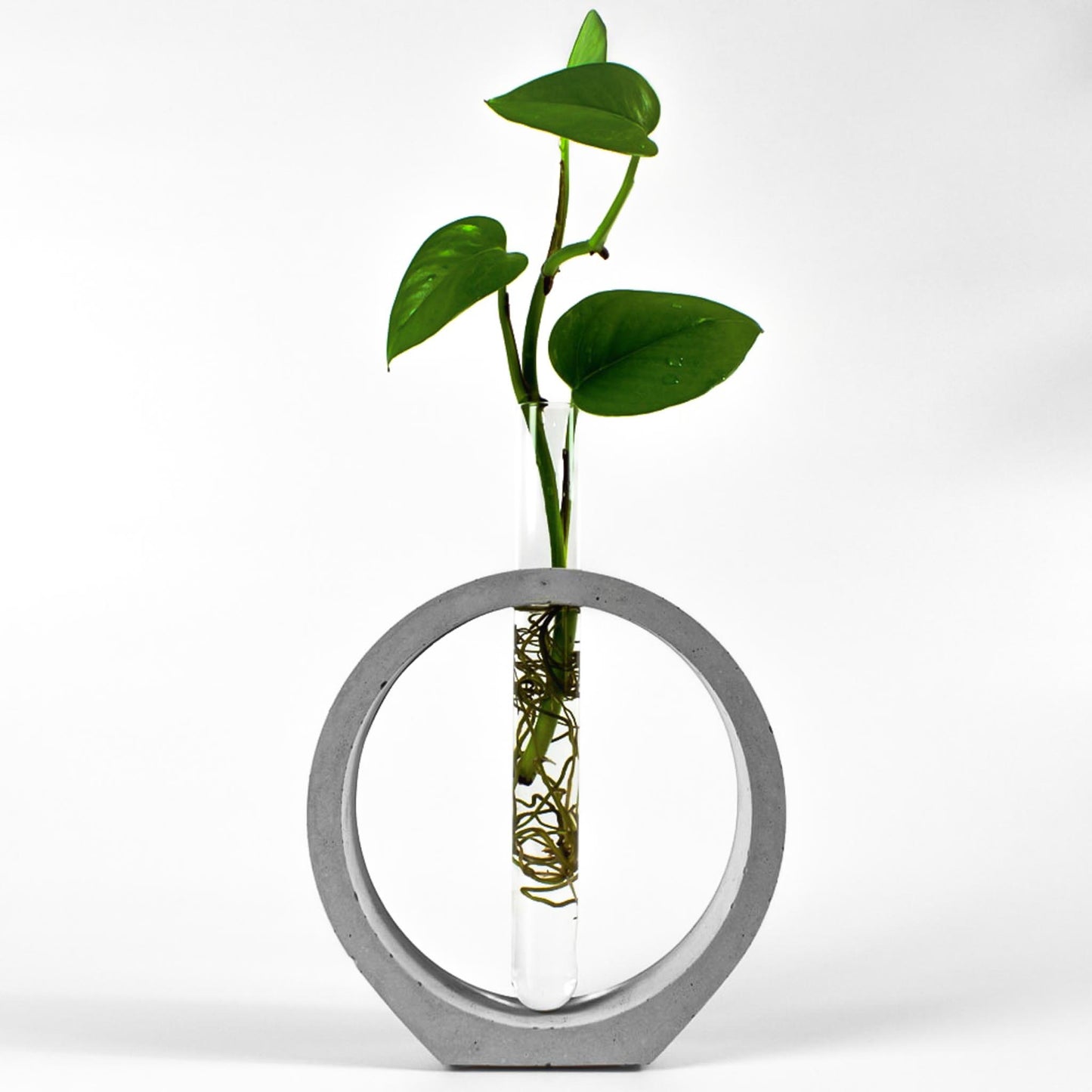 reagenzglas-vase-beton-kreis-gesamtansicht-frontal