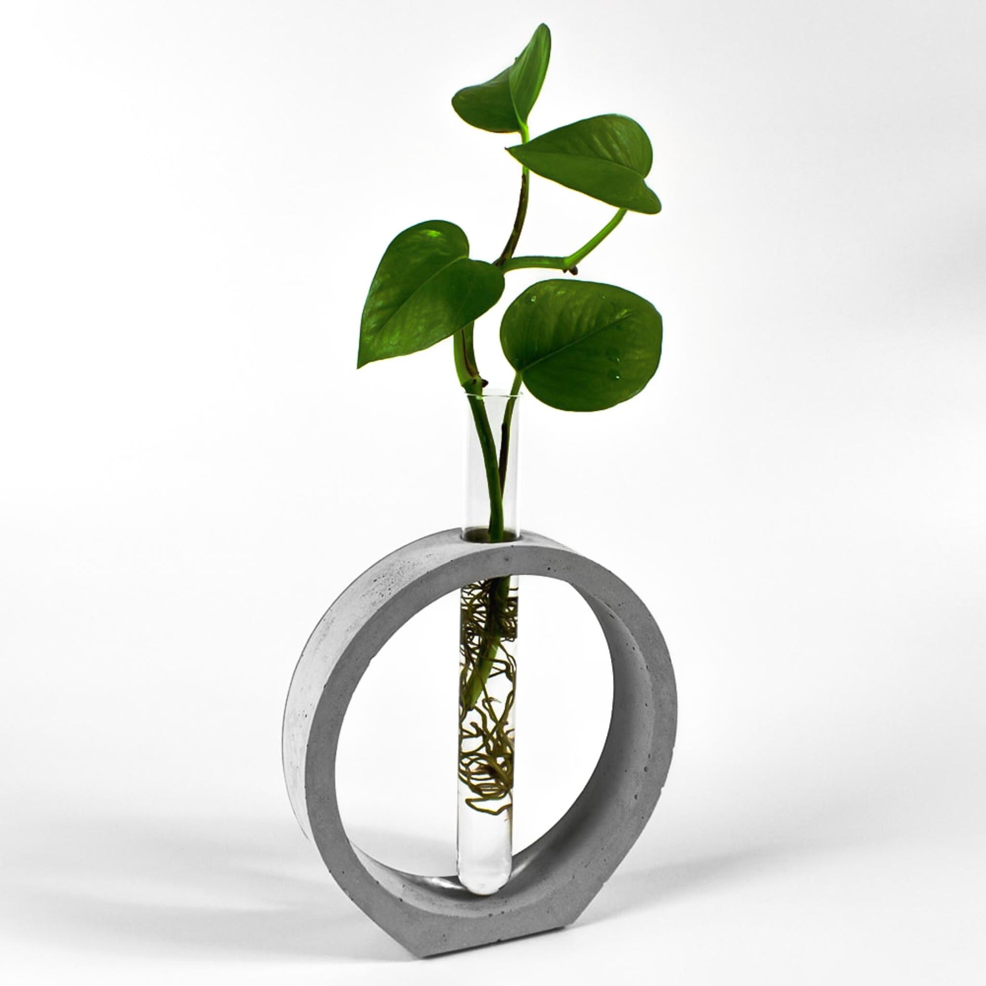 reagenzglas-vase-beton-kreis-gesamtansicht-seitlich