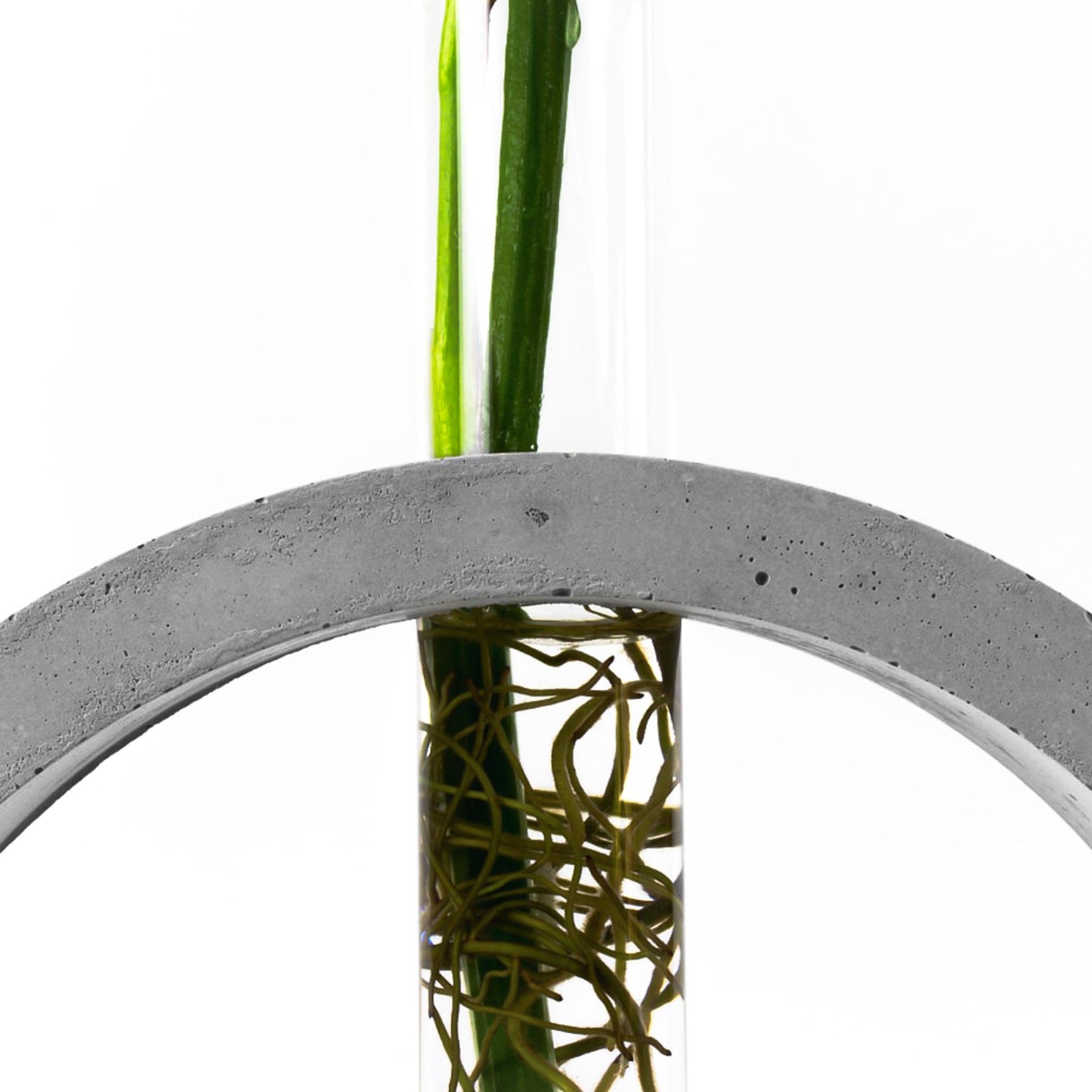 reagenzglas-vase-beton-kreis-nahaufnahme-frontal