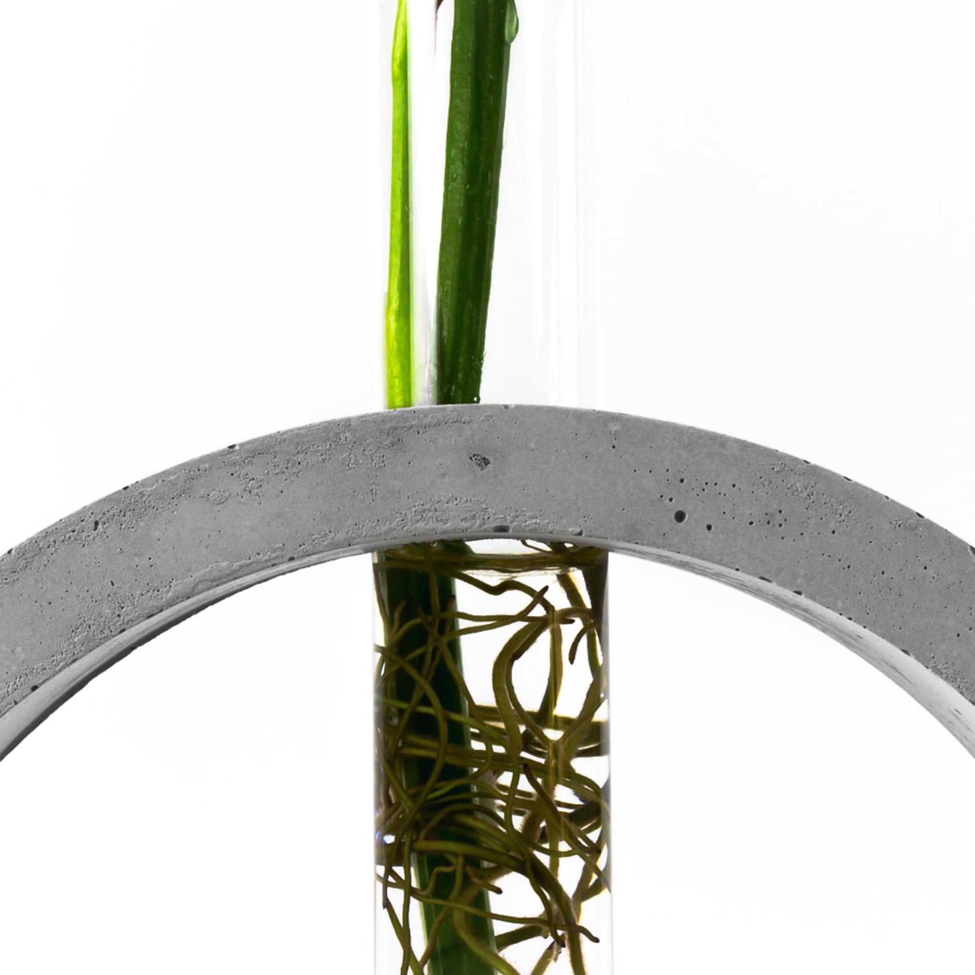 reagenzglas-vase-beton-kreis-nahaufnahme-frontal