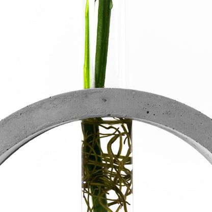 reagenzglas-vase-beton-kreis-nahaufnahme-frontal