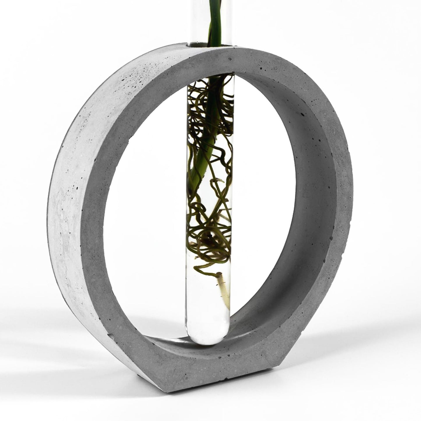 reagenzglas-vase-beton-kreis-nahaufnahme-seitlich