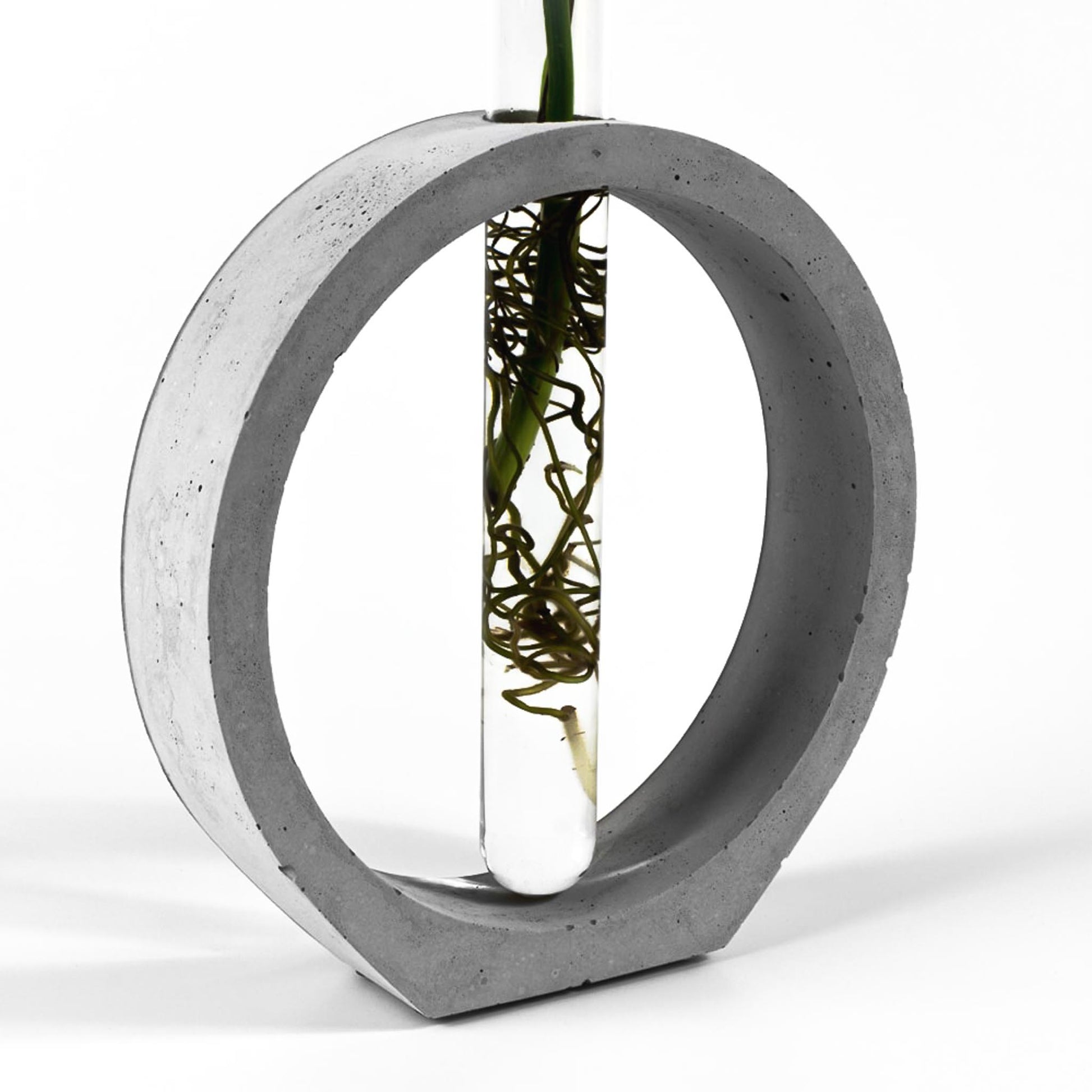 reagenzglas-vase-beton-kreis-nahaufnahme-seitlich