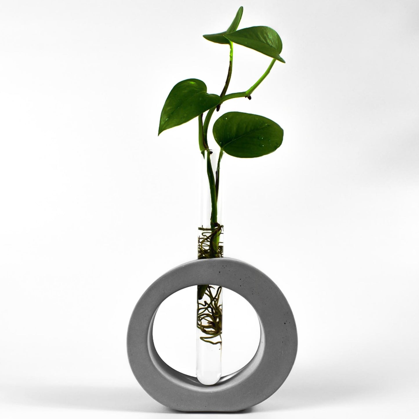 reagenzglas-vase-beton-oval-gesamtansicht-frontal