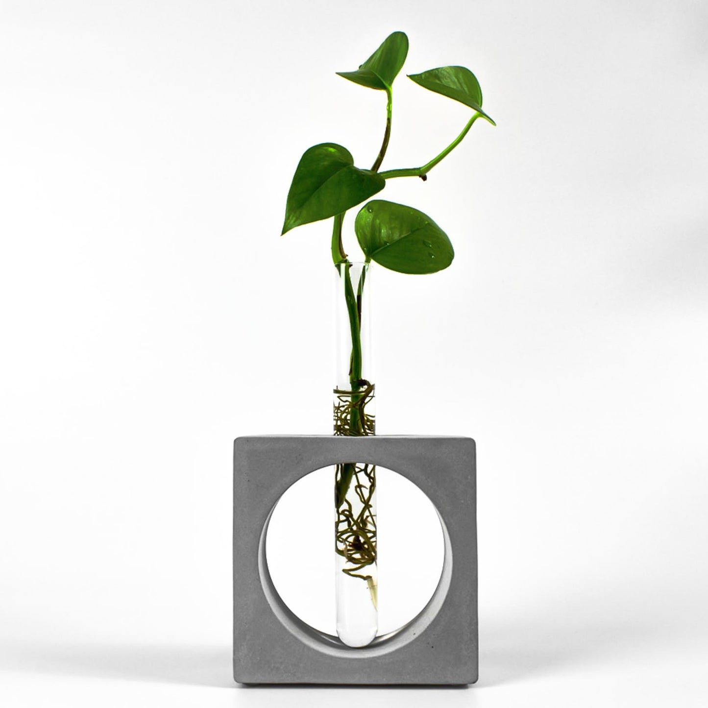 reagenzglas-vase-beton-quadrat-gesamtansicht-frontal