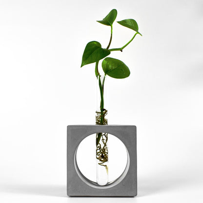 reagenzglas-vase-beton-quadrat-gesamtansicht-frontal