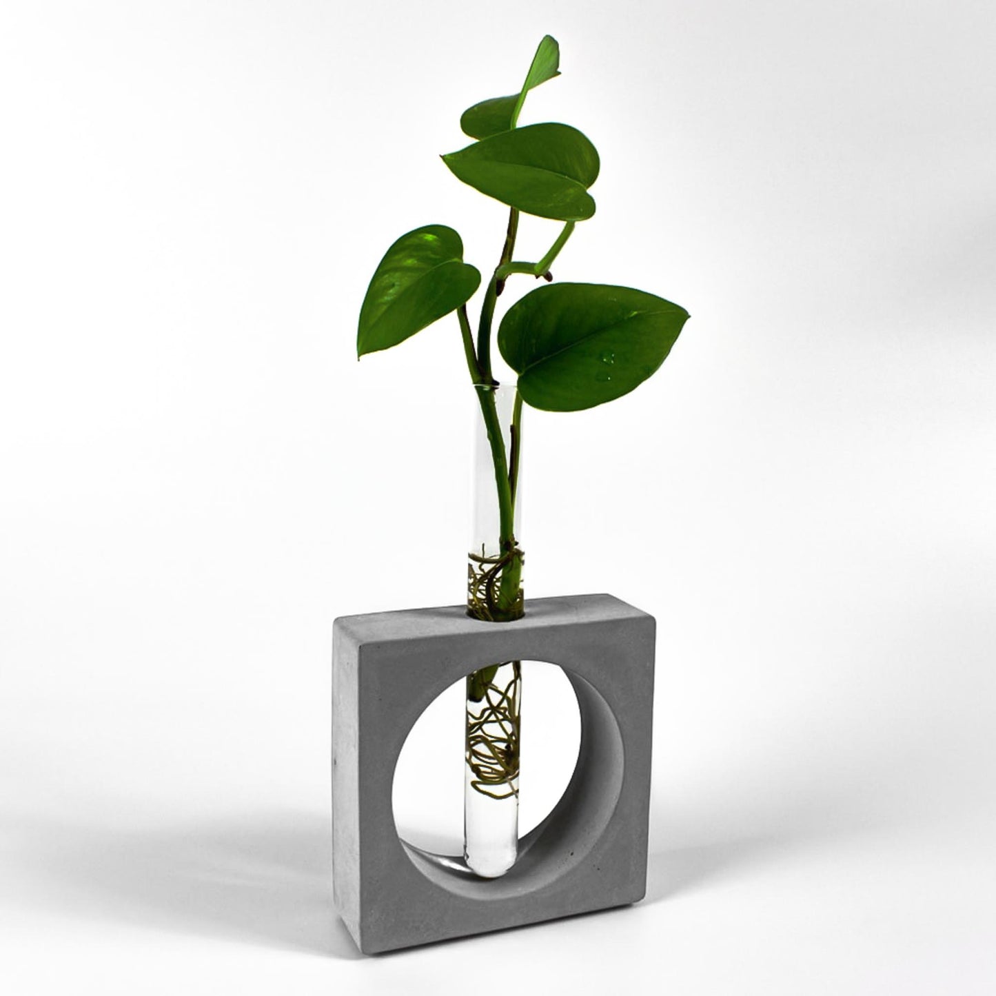 reagenzglas-vase-beton-quadrat-gesamtansicht-seitlich