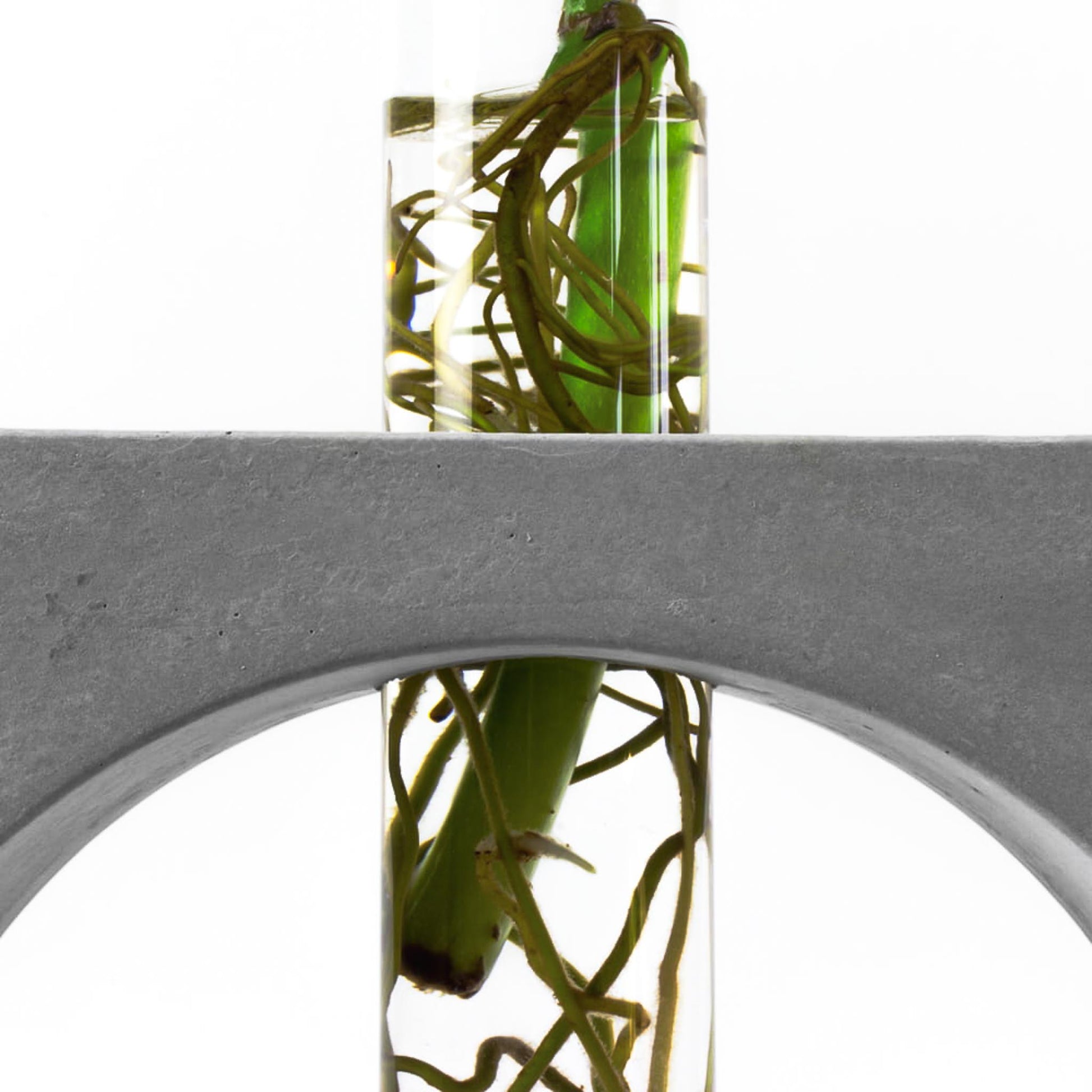 reagenzglas-vase-beton-quadrat-nahaufnahme-frontal