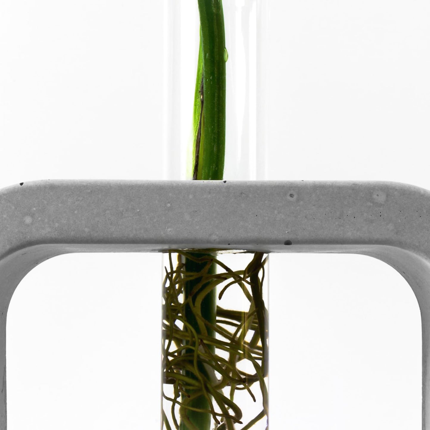 reagenzglas-vase-beton-rechteck-detail-glas-frontal