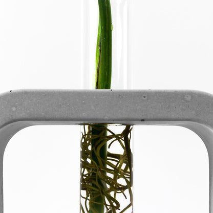 reagenzglas-vase-beton-rechteck-detail-glas-frontal