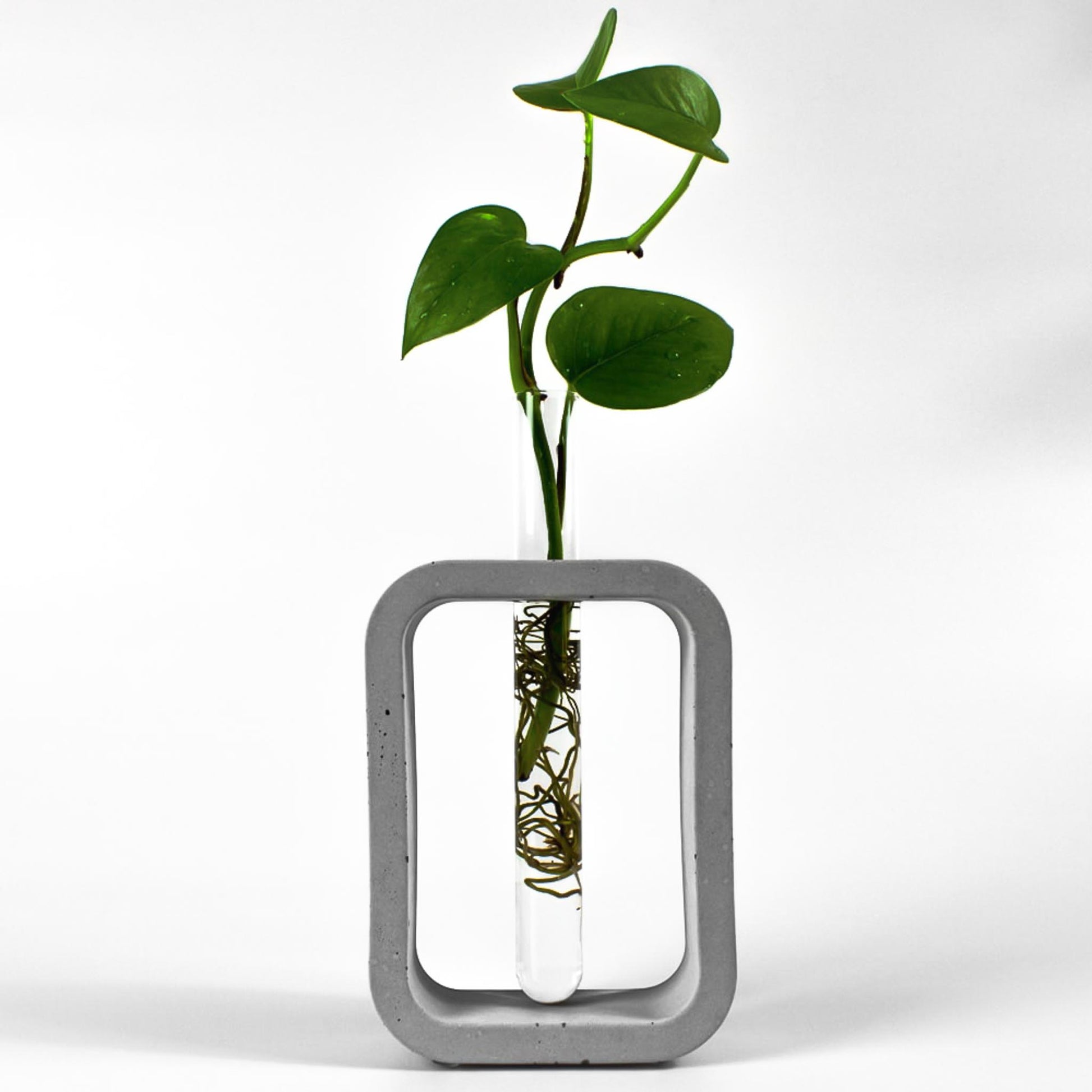 reagenzglas-vase-beton-rechteck-gesamtansicht-frontal