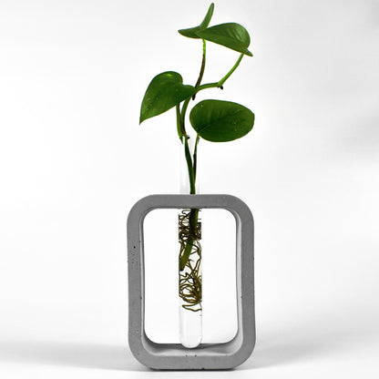 reagenzglas-vase-beton-rechteck-gesamtansicht-frontal