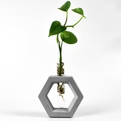 reagenzglas-vase-beton-sechseck-gesamtansicht-frontal