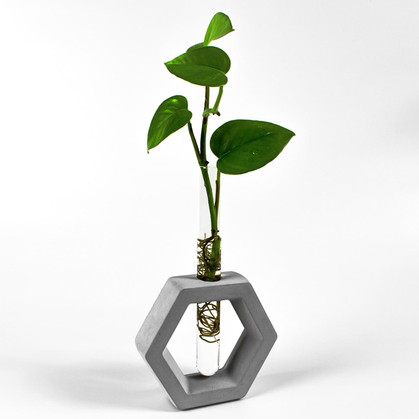 reagenzglas-vase-beton-sechseck-gesamtansicht-seitlich