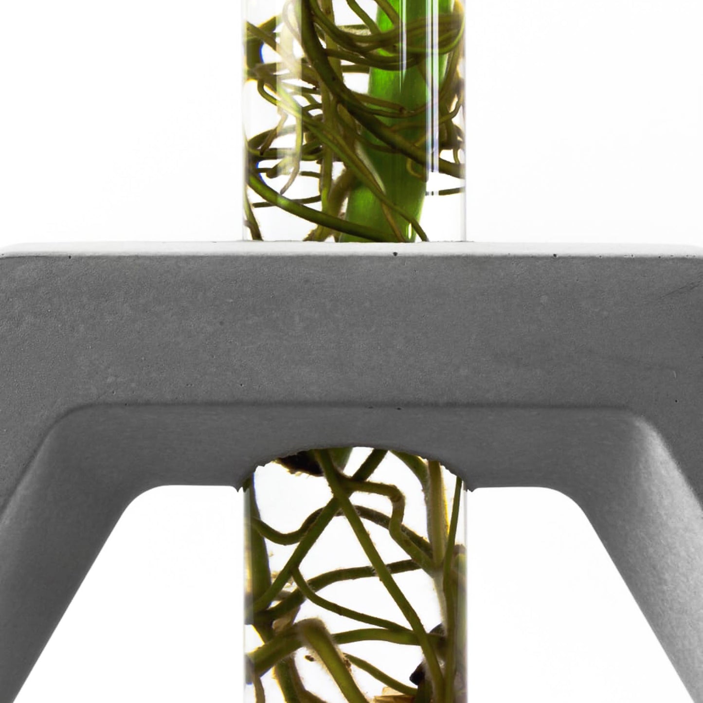 reagenzglas-vase-beton-sechseck-nahaufnahme-frontal