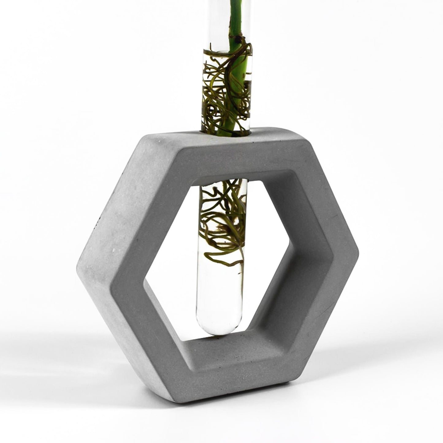 reagenzglas-vase-beton-sechseck-nahaufnahme-seitlich
