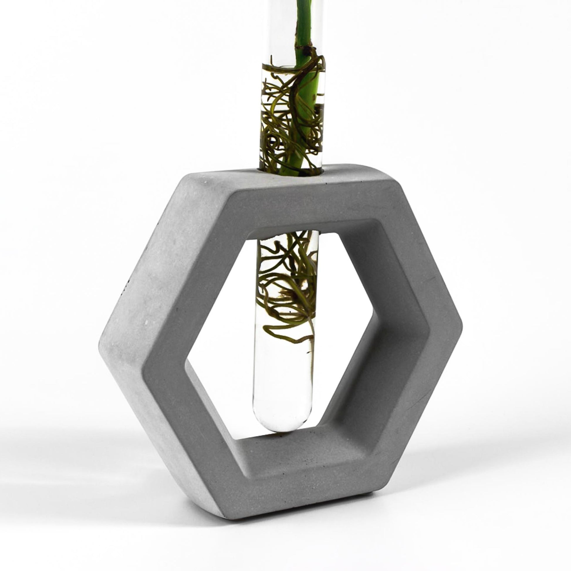 reagenzglas-vase-beton-sechseck-nahaufnahme-seitlich